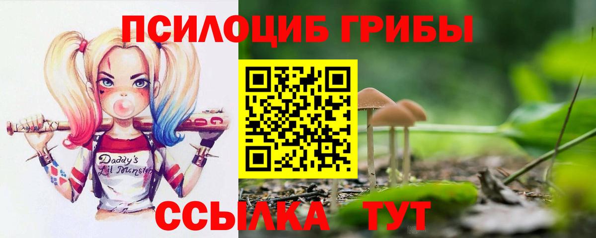 Псилоцибиновые грибы GOLDEN TEACHER  Вход с VPN  Тимашёвск 